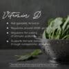Daily Wellness - Ingrédients Vitamine D