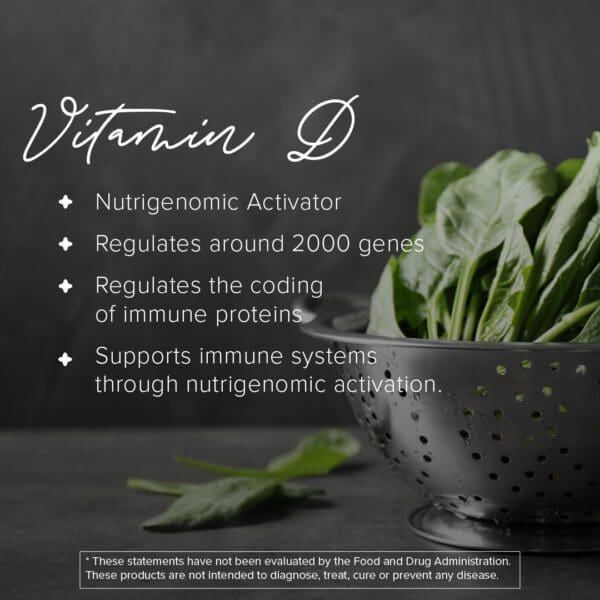 Daily Wellness - Ingredients Vitamin D