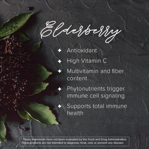 Daily Wellness - Ingredients Elderberry