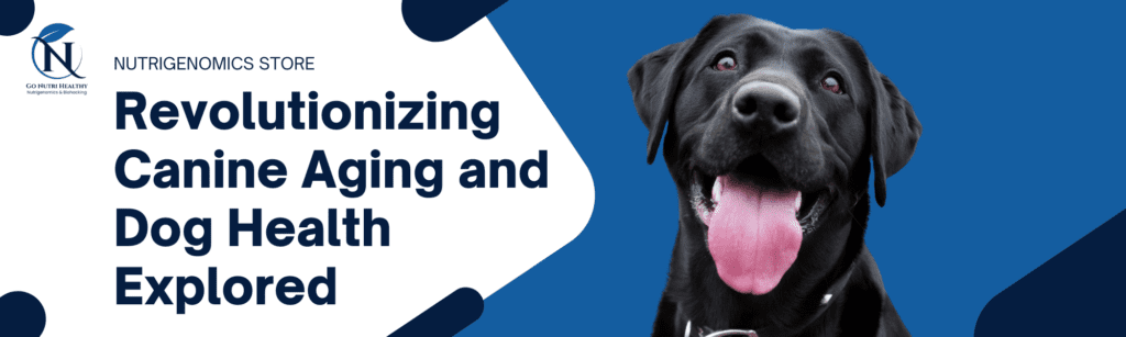 Revolutionizing Canine Aging Nutrigenomics and Dog Health Explored